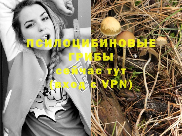 кокс Абаза