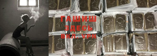 прущие грибы Абинск